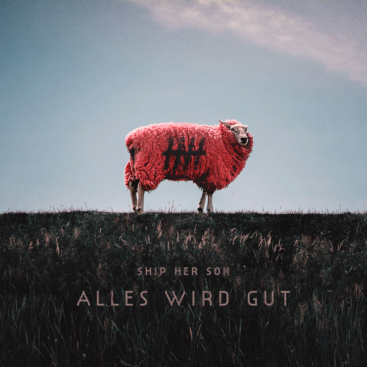 Alles wird gut cover — red sheep on a dyke