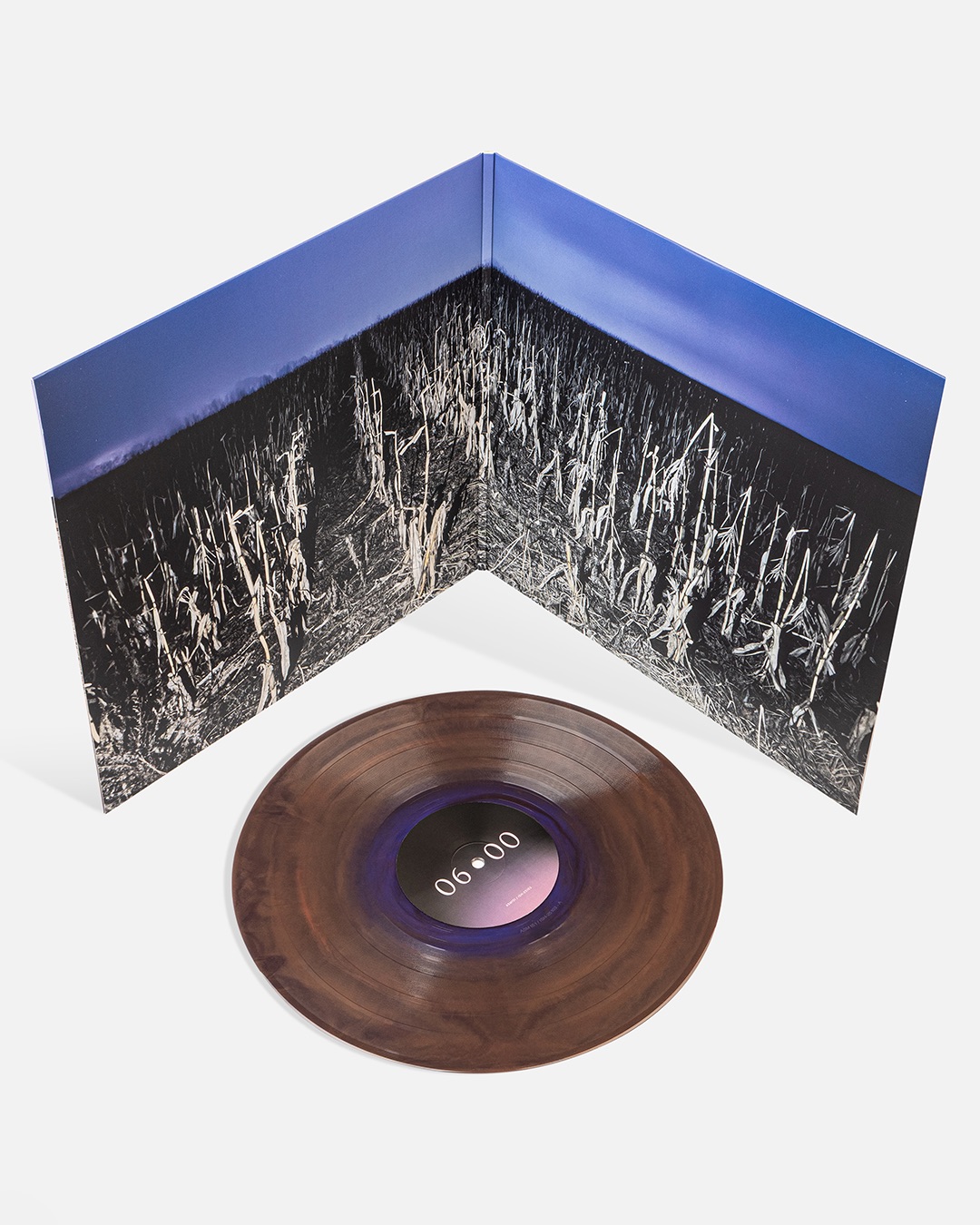 Gatefold interior with vinyl